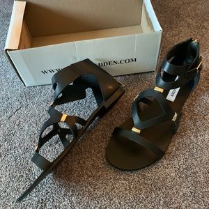 Steve Madden never been worn gladiator sandals!